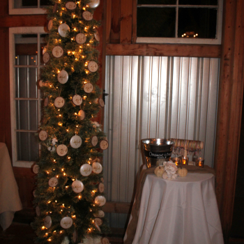2TreeOrnaments